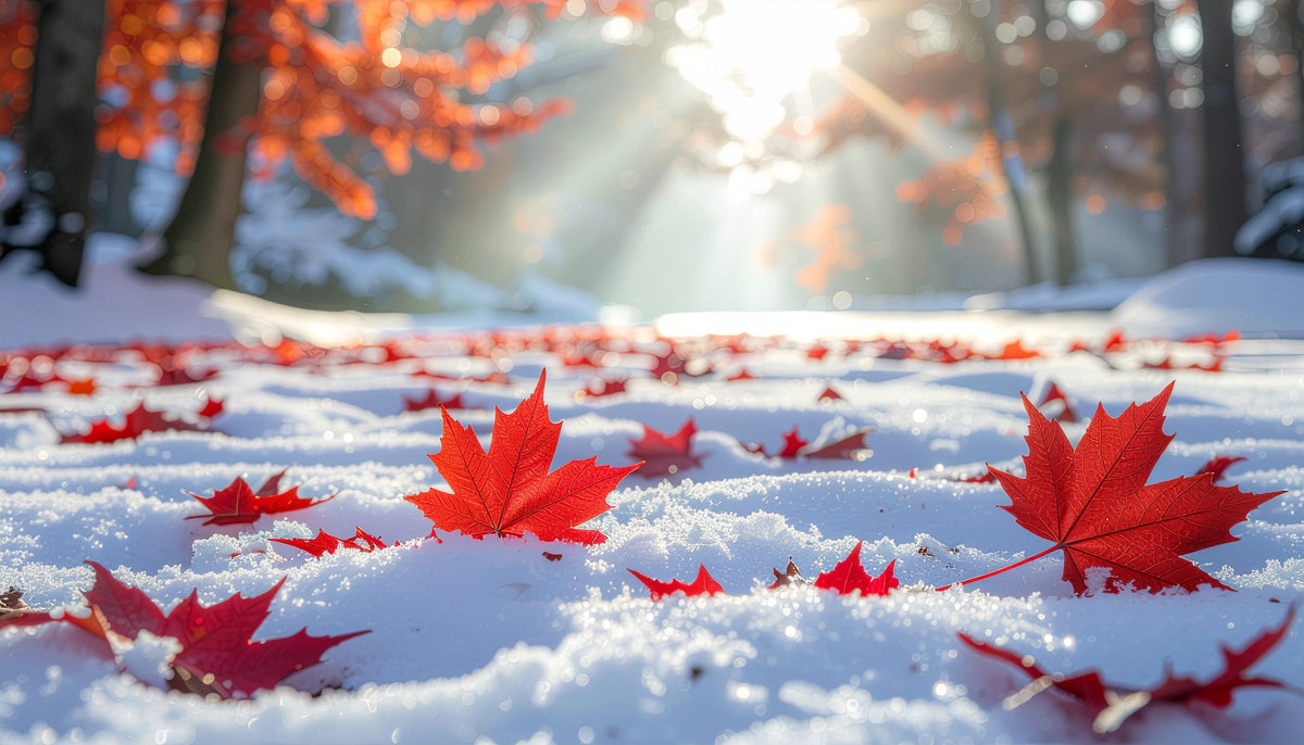 WINTER'S 2026